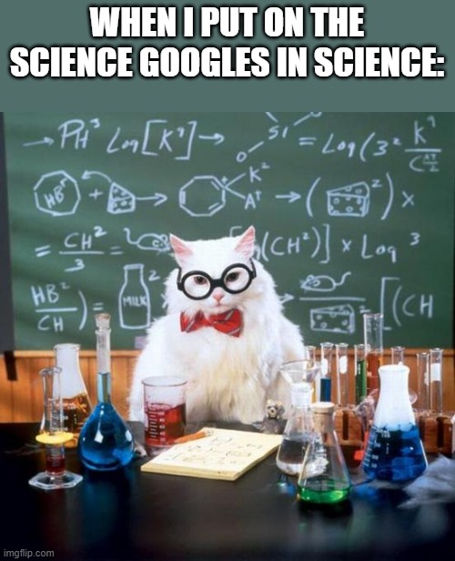 Chemistry Cat Meme | WHEN I PUT ON THE SCIENCE GOOGLES IN SCIENCE: | image tagged in memes,chemistry cat | made w/ Imgflip meme maker