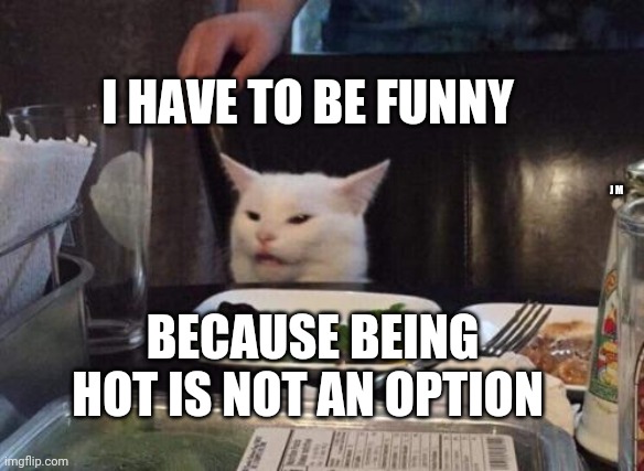 Salad cat | I HAVE TO BE FUNNY; J M; BECAUSE BEING HOT IS NOT AN OPTION | image tagged in salad cat | made w/ Imgflip meme maker
