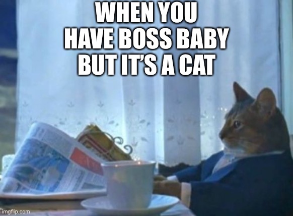 I Should Buy A Boat Cat | WHEN YOU HAVE BOSS BABY BUT IT’S A CAT | image tagged in memes,i should buy a boat cat,boss baby,boss cat,cats,pikachu is a cat | made w/ Imgflip meme maker