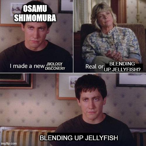 Discovery of GFP | OSAMU SHIMOMURA; BLENDING UP JELLYFISH? BIOLOGY DISCOVERY; BLENDING UP JELLYFISH | image tagged in i made a new friend today | made w/ Imgflip meme maker