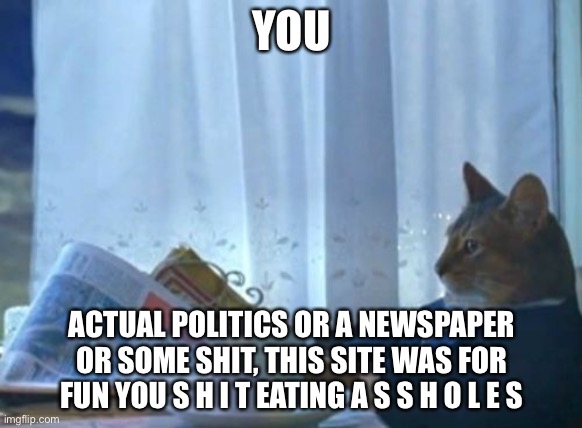 I Should Buy A Boat Cat | YOU; ACTUAL POLITICS OR A NEWSPAPER OR SOME SHIT, THIS SITE WAS FOR FUN YOU S H I T EATING A S S H O L E S | image tagged in memes,i should buy a boat cat | made w/ Imgflip meme maker