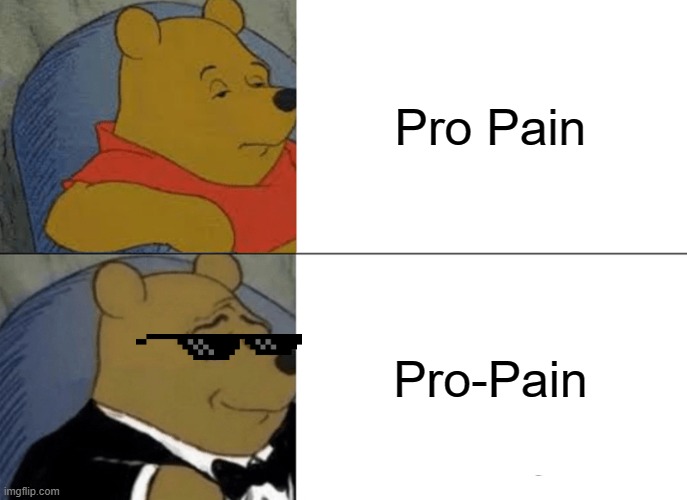 Tuxedo Winnie The Pooh Meme | Pro Pain; Pro-Pain | image tagged in memes,tuxedo winnie the pooh | made w/ Imgflip meme maker
