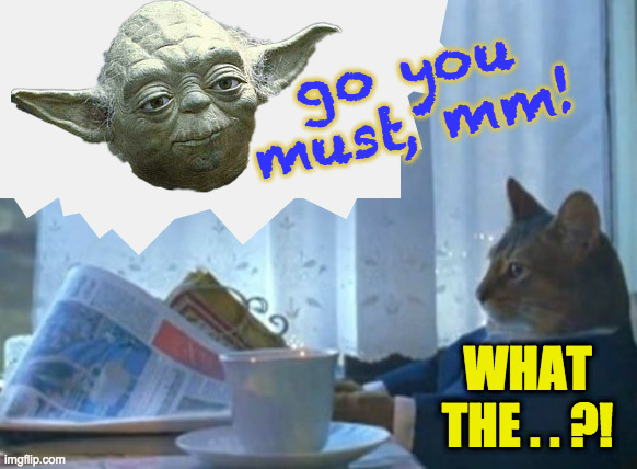 Attack of the invisible backgrounds! | go you must, mm! WHAT THE . . ?! | image tagged in memes,i should buy a boat cat,invisible background,andrewfinlayson,yoda,mm | made w/ Imgflip meme maker