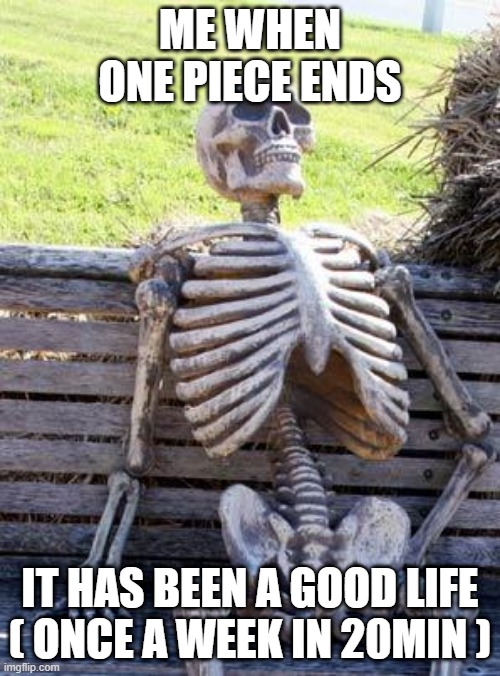 Waiting Skeleton | ME WHEN ONE PIECE ENDS; IT HAS BEEN A GOOD LIFE ( ONCE A WEEK IN 20MIN ) | image tagged in memes,waiting skeleton | made w/ Imgflip meme maker