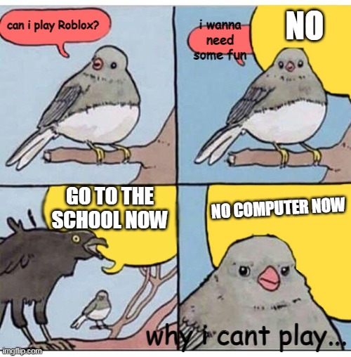 my grandma dont give me to play roblox | NO; can i play Roblox? i wanna need some fun; GO TO THE SCHOOL NOW; NO COMPUTER NOW; why i cant play... | image tagged in annoyed bird | made w/ Imgflip meme maker