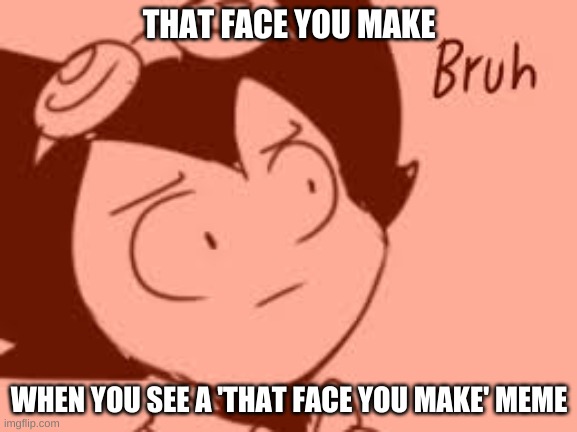 bruh moment | THAT FACE YOU MAKE; WHEN YOU SEE A 'THAT FACE YOU MAKE' MEME | image tagged in bruh | made w/ Imgflip meme maker