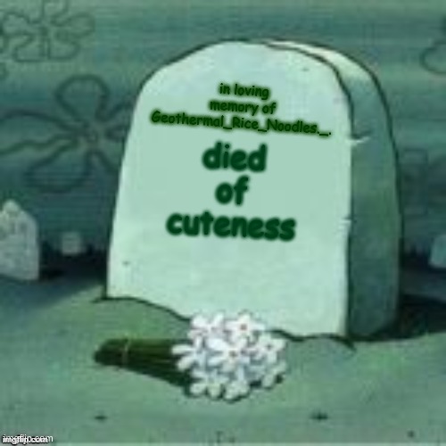 Here Lies X | died of cuteness in loving memory of Geothermal_Rice_Noodles._. | image tagged in here lies x | made w/ Imgflip meme maker