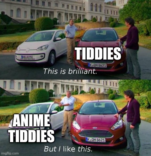 This Is Brilliant But I Like This | TIDDIES; ANIME TIDDIES | image tagged in this is brilliant but i like this | made w/ Imgflip meme maker