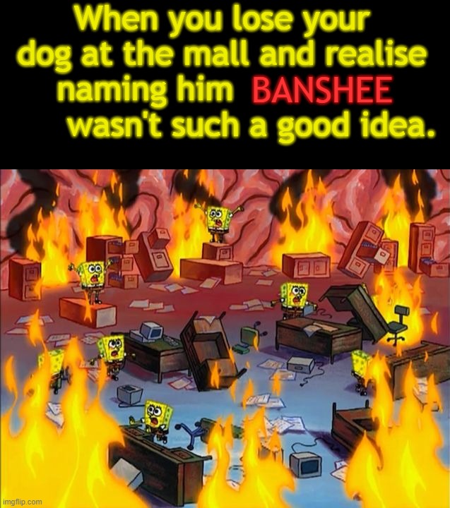 spongebob fire | When you lose your dog at the mall and realise naming him                      wasn't such a good idea. BANSHEE | image tagged in spongebob fire | made w/ Imgflip meme maker