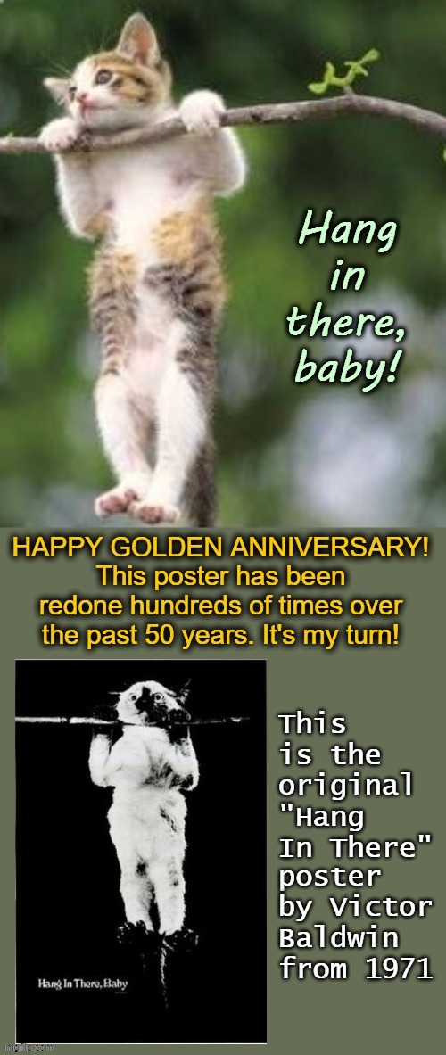 Happy anniversary, baby! | HANG IN THERE, BABY! HAPPY GOLDEN ANNIVERSARY! THIS POSTER HAS BEEN REDONE HUNDREDS OF TIMES OVER THE PAST 50 YEARS. IT'S MY TURN! THIS IS THE ORIGINAL "HANG IN THERE"; POSTER BY VICTOR BALDWIN FROM 1971 | image tagged in cats,vintage,anniversary,1970's,kitten,tree | made w/ Imgflip meme maker