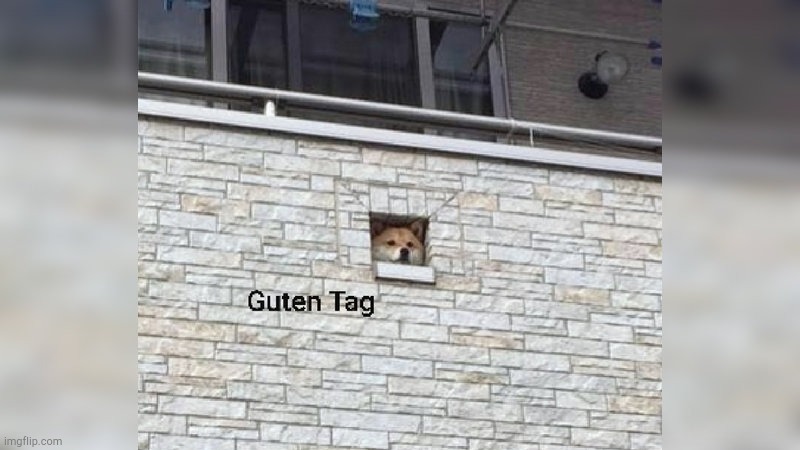Guten Tag | image tagged in guten tag | made w/ Imgflip meme maker