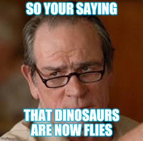 Dumb question | SO YOUR SAYING; THAT DINOSAURS ARE NOW FLIES | image tagged in my face when someone asks a stupid question | made w/ Imgflip meme maker