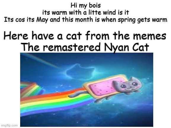 Are ya havin a gud day? :D | Here have a cat from the memes
The remastered Nyan Cat; Hi my bois
its warm with a litte wind is it
Its cos its May and this month is when spring gets warm | image tagged in cat,nyan cat | made w/ Imgflip meme maker