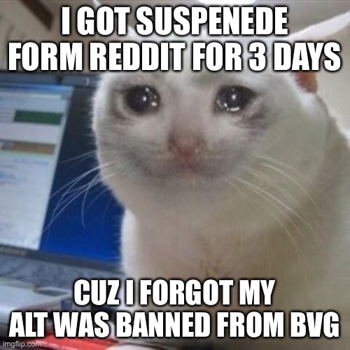 **** | I GOT SUSPENEDE FORM REDDIT FOR 3 DAYS; CUZ I FORGOT MY ALT WAS BANNED FROM BVG | image tagged in crying cat | made w/ Imgflip meme maker