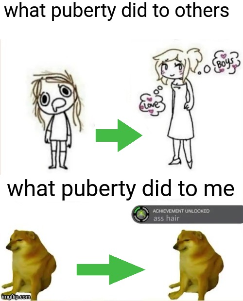 what puberty did to others; what puberty did to me | image tagged in girls vs boys,puberty,lol so funny | made w/ Imgflip meme maker
