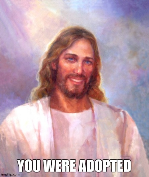 Smiling Jesus Meme | YOU WERE ADOPTED | image tagged in memes,smiling jesus | made w/ Imgflip meme maker