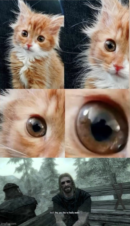 image tagged in you're finally awake,only gamers will understand,cats | made w/ Imgflip meme maker