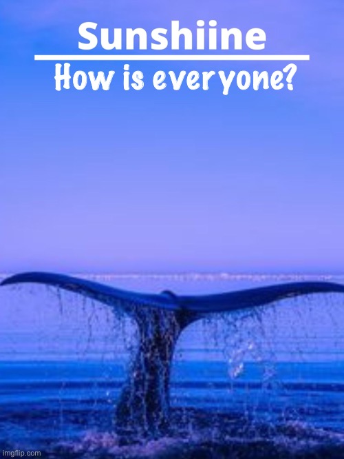 How is everyone? | made w/ Imgflip meme maker