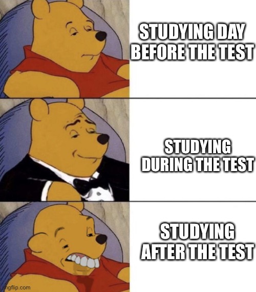Whinnie The Poo (Normal, Fancy, Gross) | STUDYING DAY BEFORE THE TEST; STUDYING DURING THE TEST; STUDYING AFTER THE TEST | image tagged in whinnie the poo normal fancy gross | made w/ Imgflip meme maker