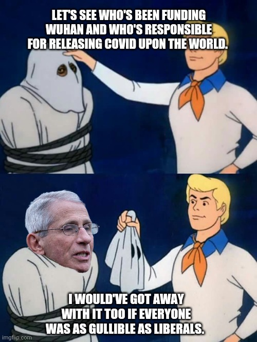 Fauci belongs in a federal prison. | LET'S SEE WHO'S BEEN FUNDING WUHAN AND WHO'S RESPONSIBLE FOR RELEASING COVID UPON THE WORLD. I WOULD'VE GOT AWAY WITH IT TOO IF EVERYONE WAS AS GULLIBLE AS LIBERALS. | image tagged in memes | made w/ Imgflip meme maker