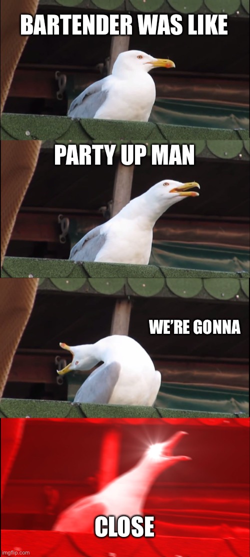 SAM HUNT reference... | BARTENDER WAS LIKE; PARTY UP MAN; WE’RE GONNA; CLOSE | image tagged in memes,inhaling seagull | made w/ Imgflip meme maker