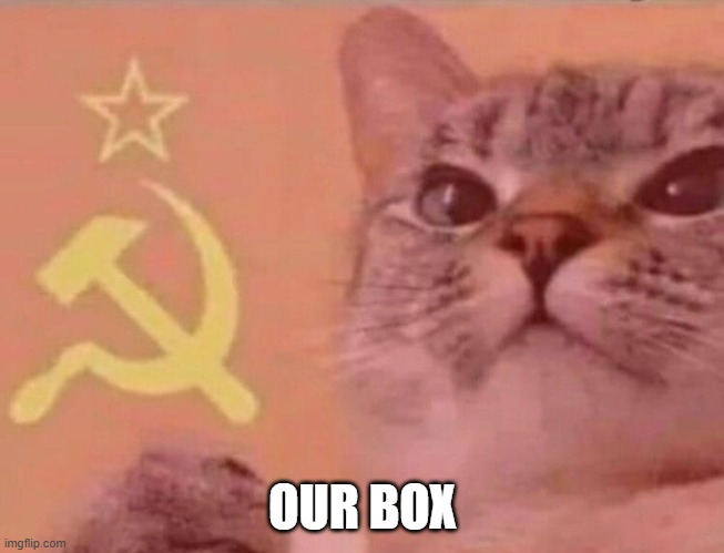Communist cat | OUR BOX | image tagged in communist cat | made w/ Imgflip meme maker
