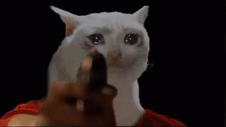High Quality cat pointing gun at you Blank Meme Template