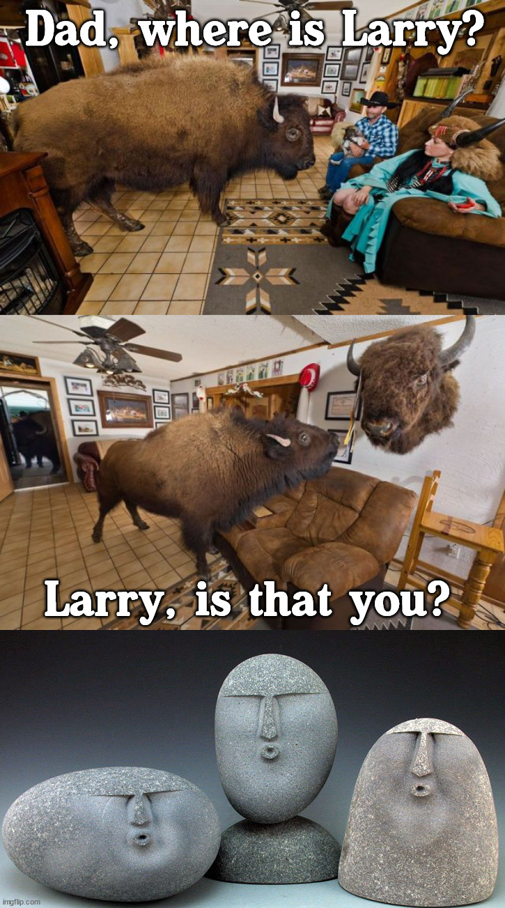 Animal problems | Dad, where is Larry? Larry, is that you? | image tagged in oof stones,bison,where are they now | made w/ Imgflip meme maker