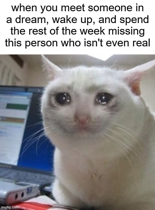 pain | when you meet someone in a dream, wake up, and spend the rest of the week missing this person who isn't even real | image tagged in crying cat | made w/ Imgflip meme maker