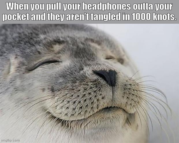 Sweet Relief. |  When you pull your headphones outta your pocket and they aren't tangled in 1000 knots. | image tagged in memes,satisfied seal | made w/ Imgflip meme maker