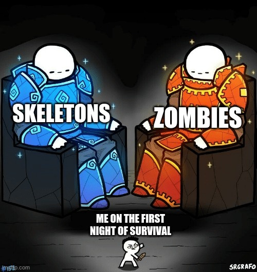 Lolllll | ZOMBIES; SKELETONS; ME ON THE FIRST NIGHT OF SURVIVAL | image tagged in minecraft,survival | made w/ Imgflip meme maker