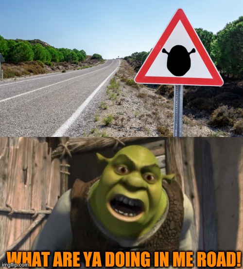 lol! | WHAT ARE YA DOING IN ME ROAD! | image tagged in shrek what are you doing in my swamp | made w/ Imgflip meme maker