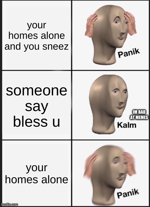 sorry if repost | your homes alone and you sneez; someone say bless u; IM BAD AT MEMES; your homes alone | image tagged in memes,panik kalm panik | made w/ Imgflip meme maker