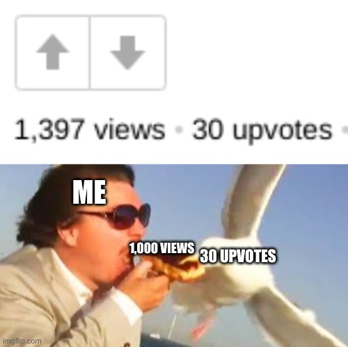 ME; 1,000 VIEWS; 30 UPVOTES | image tagged in swiping seagull | made w/ Imgflip meme maker