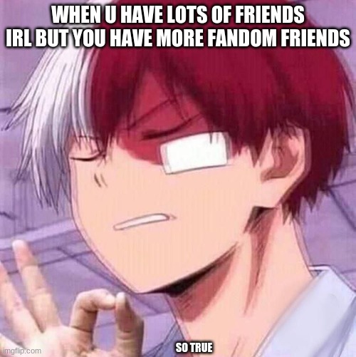 Todoroki | WHEN U HAVE LOTS OF FRIENDS IRL BUT YOU HAVE MORE FANDOM FRIENDS; SO TRUE | image tagged in todoroki | made w/ Imgflip meme maker