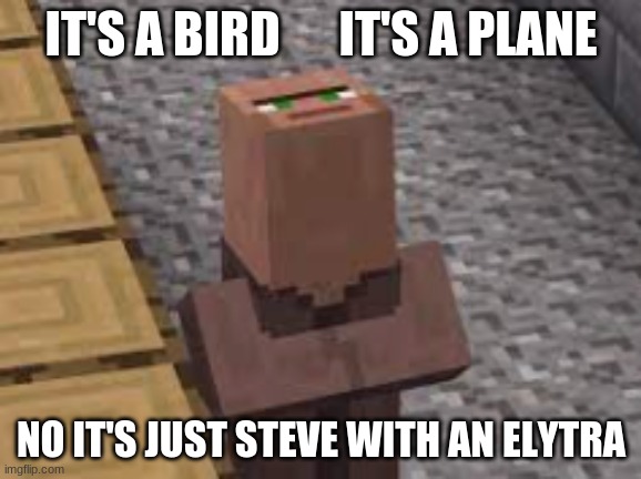 I made this template for y'all to use and i'm almost to 1000 points!! | IT'S A BIRD      IT'S A PLANE; NO IT'S JUST STEVE WITH AN ELYTRA | image tagged in weird villiger | made w/ Imgflip meme maker