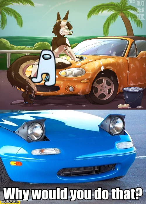 NOT THE MAZDA | image tagged in blank white template | made w/ Imgflip meme maker