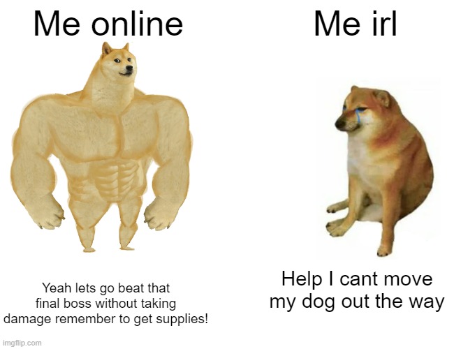 yeah | Me online; Me irl; Yeah lets go beat that final boss without taking damage remember to get supplies! Help I cant move my dog out the way | image tagged in memes,buff doge vs cheems | made w/ Imgflip meme maker