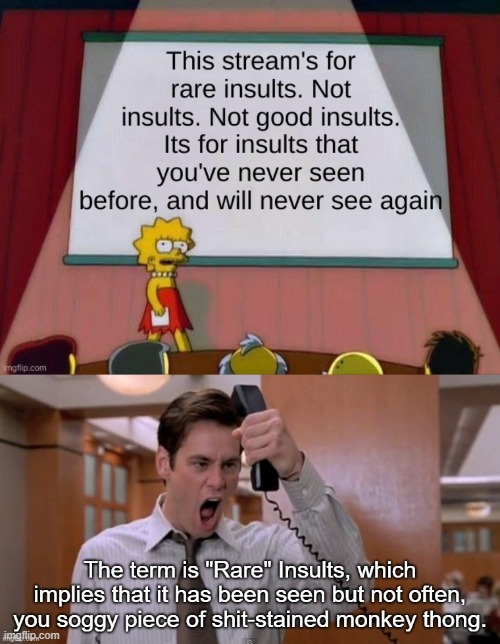 There...gave you an honest "rare insult". lol | image tagged in rare insult | made w/ Imgflip meme maker