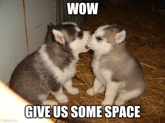 Cute Puppies |  WOW; GIVE US SOME SPACE | image tagged in memes,cute puppies | made w/ Imgflip meme maker