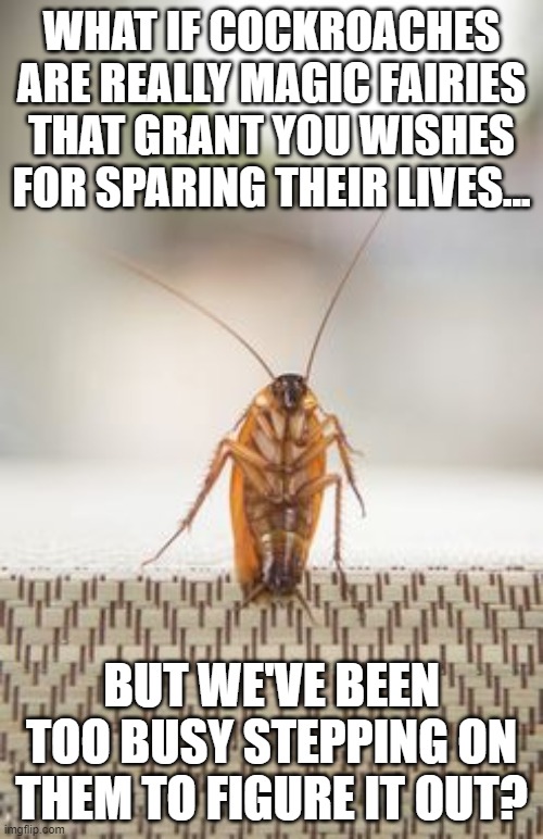 Cockroach fairies |  WHAT IF COCKROACHES ARE REALLY MAGIC FAIRIES THAT GRANT YOU WISHES FOR SPARING THEIR LIVES... BUT WE'VE BEEN TOO BUSY STEPPING ON THEM TO FIGURE IT OUT? | image tagged in cockroaches,fairy,3 wishes | made w/ Imgflip meme maker