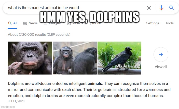 hairy dolphins | HMM YES, DOLPHINS | image tagged in memes | made w/ Imgflip meme maker