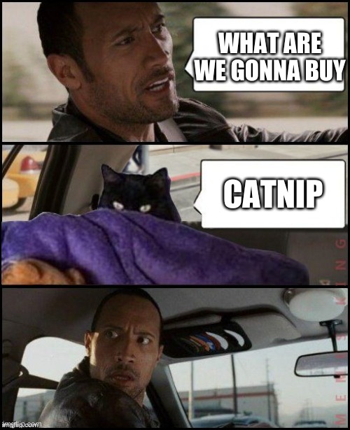 C A T N I P | WHAT ARE WE GONNA BUY; CATNIP | image tagged in cats,the rock driving | made w/ Imgflip meme maker