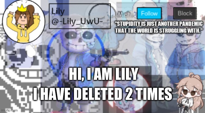 HI, I AM LILY; I HAVE DELETED 2 TIMES | image tagged in sigh more temp | made w/ Imgflip meme maker