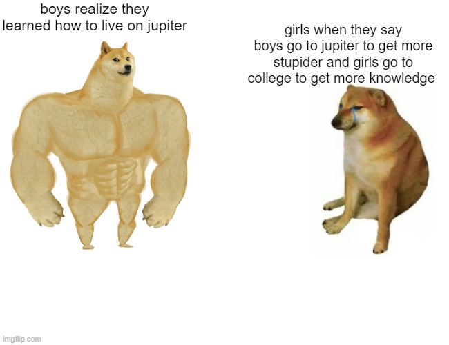 When boys realize they learned to live on jupiter | boys realize they learned how to live on jupiter; girls when they say boys go to jupiter to get more stupider and girls go to college to get more knowledge | image tagged in memes,buff doge vs cheems | made w/ Imgflip meme maker