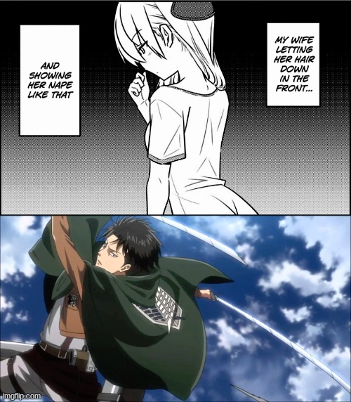 this is true | image tagged in aot,anime | made w/ Imgflip meme maker