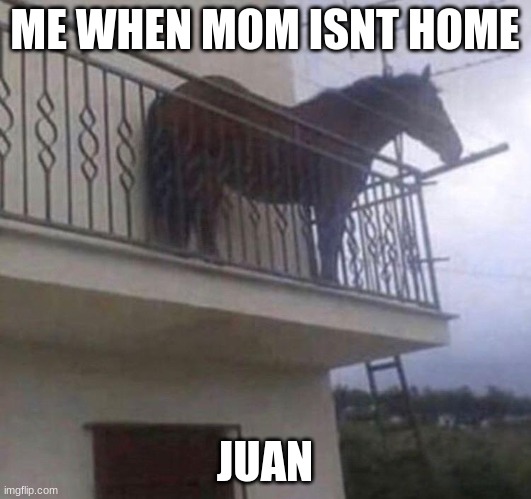 Juan | ME WHEN MOM ISNT HOME; JUAN | image tagged in juan | made w/ Imgflip meme maker