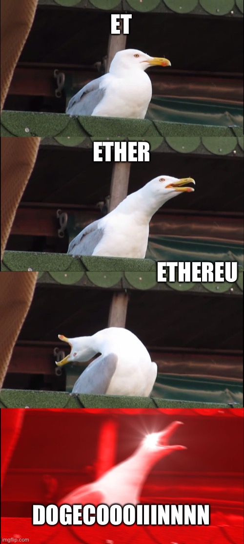 Inhaling Seagull | ET; ETHER; ETHEREU; DOGECOOOIIINNNN | image tagged in memes,inhaling seagull | made w/ Imgflip meme maker