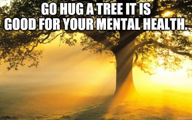 nature | GO HUG A TREE IT IS GOOD FOR YOUR MENTAL HEALTH. | image tagged in nature | made w/ Imgflip meme maker