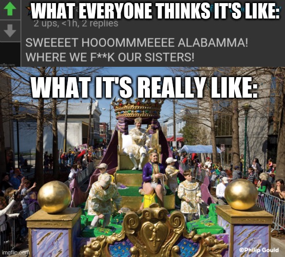 fr doe, it's not that bad | WHAT EVERYONE THINKS IT'S LIKE:; WHAT IT'S REALLY LIKE: | image tagged in sweet home alabama,mardi gras | made w/ Imgflip meme maker